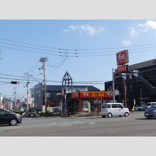 現地周辺 (すき家　55号徳島沖浜店　徒歩340m)