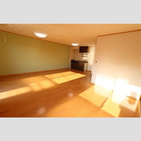 居室・リビング (LDK17.5帖)