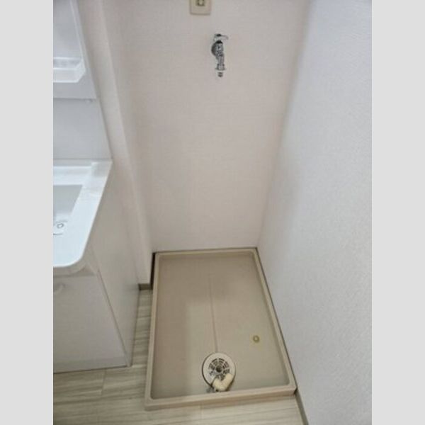 洗面所 (室内洗濯機置場)