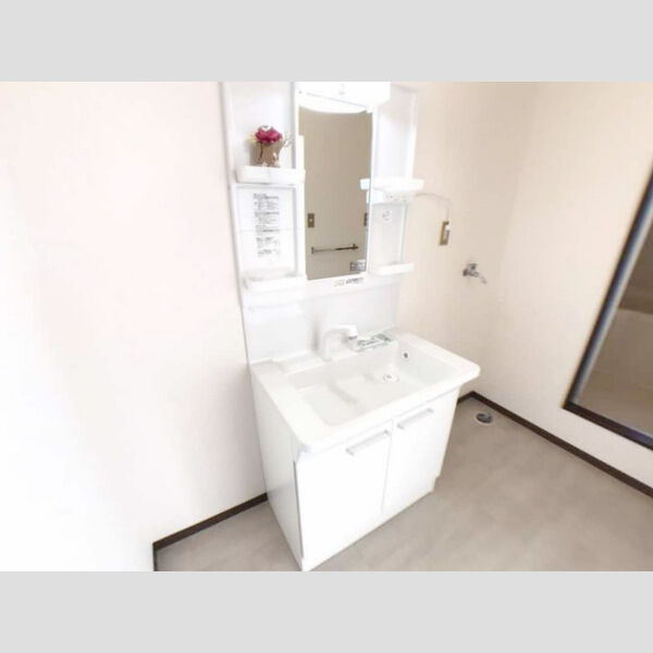 洗面所 (洗髪洗面化粧台)