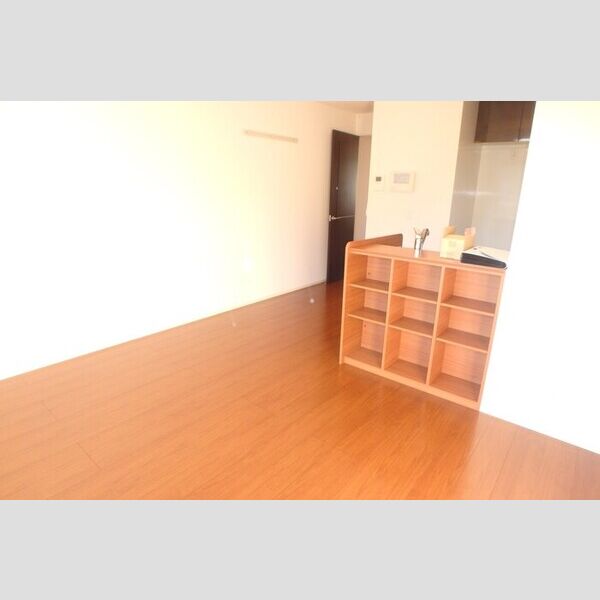 居室・リビング (LDK11.3帖)