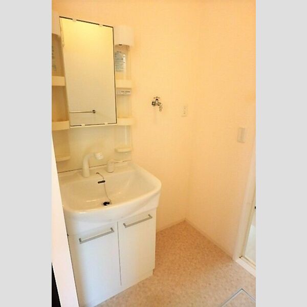 洗面所 (洗髪洗面化粧台)