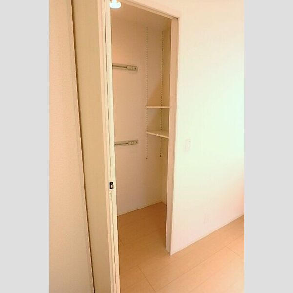 収納 (ワンステップクローゼット)