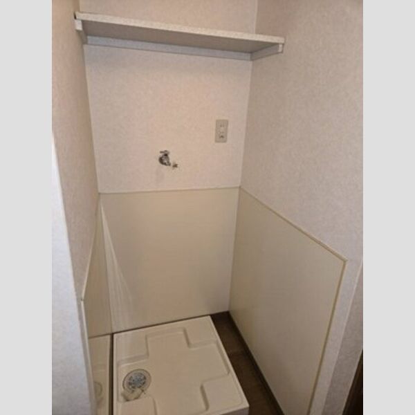 洗面所 (室内洗濯機置場)