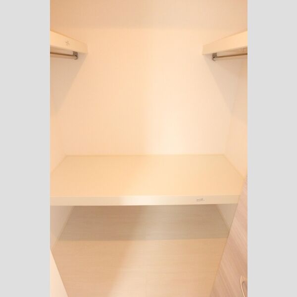 収納 (ウォークインクローゼット)