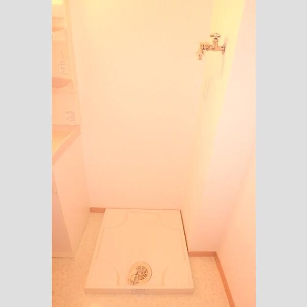 その他 (室内洗濯機置場)