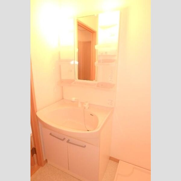 洗面所 (洗髪洗面化粧台)