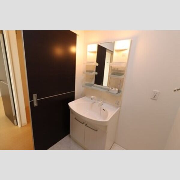 洗面所 (洗髪洗面化粧台)