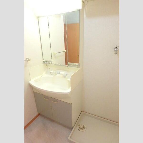 洗面所 (洗髪洗面化粧台・室内洗濯機置場)