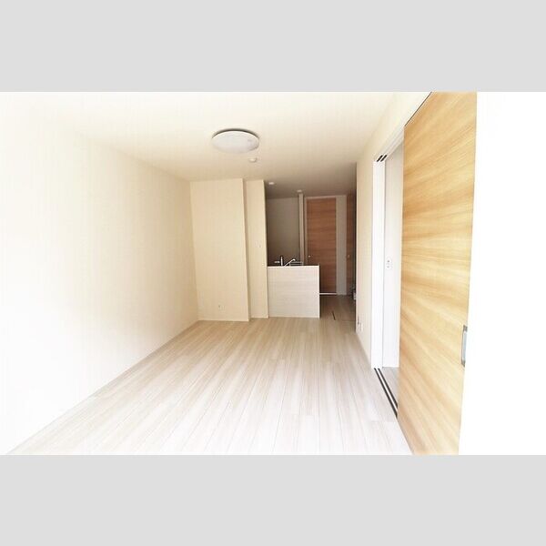 居室・リビング (LDK13.2帖)