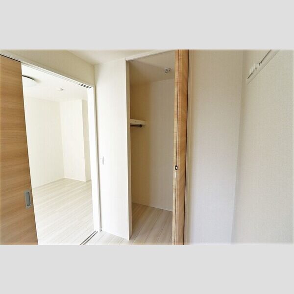 収納 (南側洋室クローゼット)