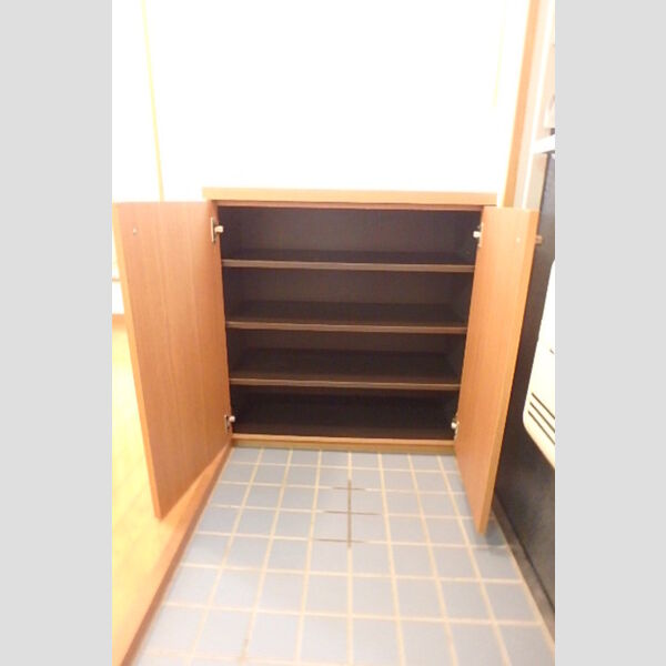 その他 (シューズボックス)