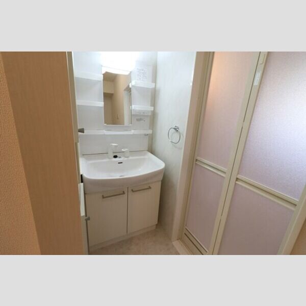 洗面所 (洗髪洗面化粧台)