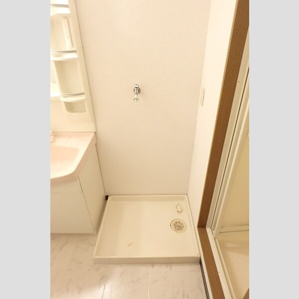 洗面所 (室内洗濯機置場)