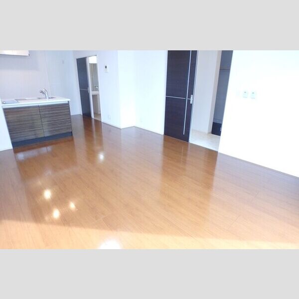 居室・リビング (LDK15.2帖)