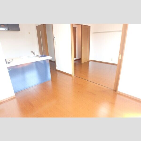 居室・リビング (DK9帖～洋室6帖)