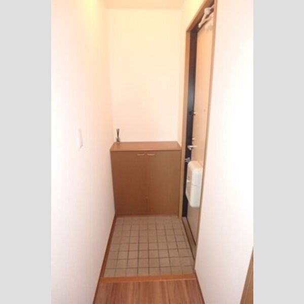 玄関 (シューズボックス(カウンタータイプ))