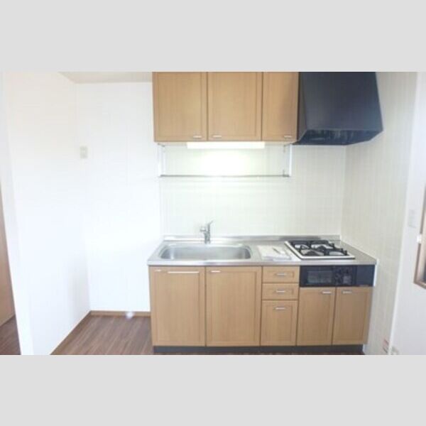 キッチン (2口ガスコンロビルトインキッチン)