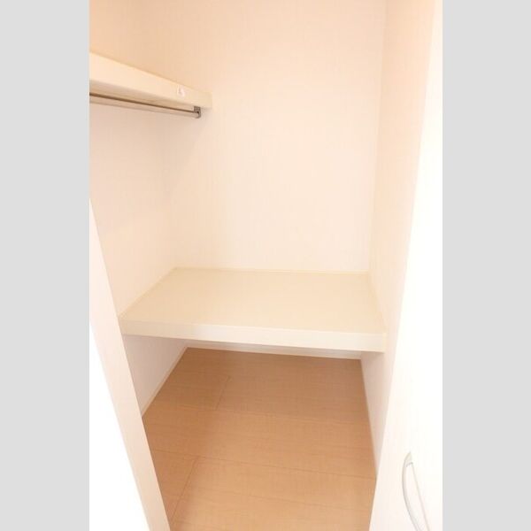 収納 (ウォークインクローゼット)