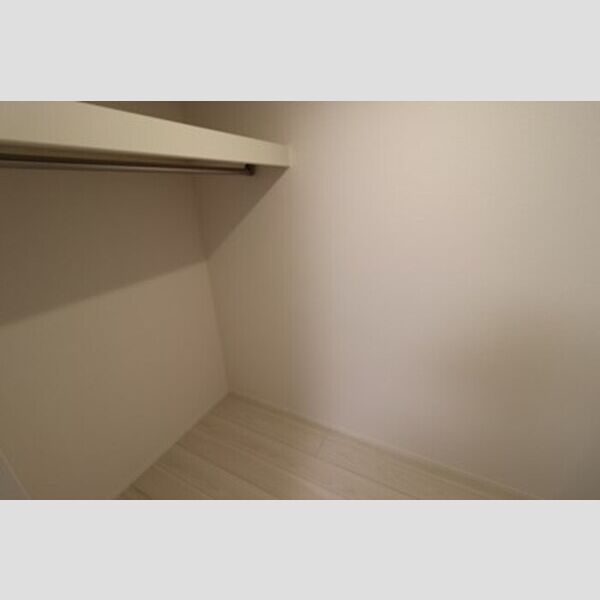 収納 (ウォークインクローゼット(洋室))