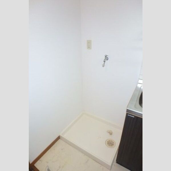 その他 (室内洗濯機置場)