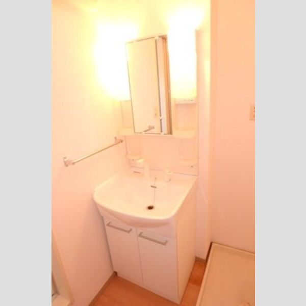 洗面所 (洗髪洗面化粧台)