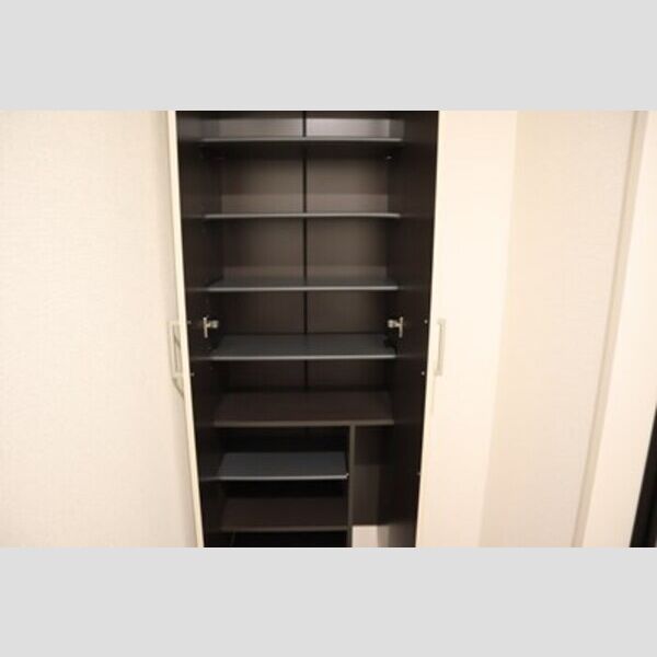 収納 (シューズボックス(トールタイプ))