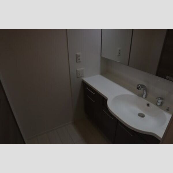 洗面所 (洗髪洗面化粧台)