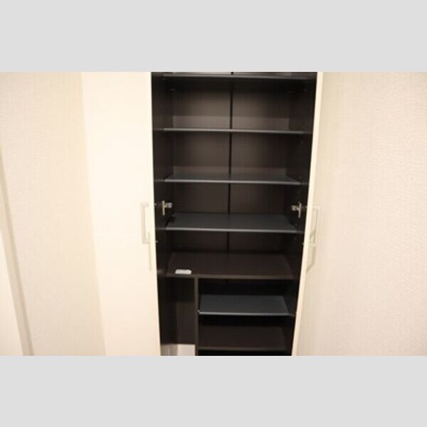 収納 (シューズボックス(トールタイプ))