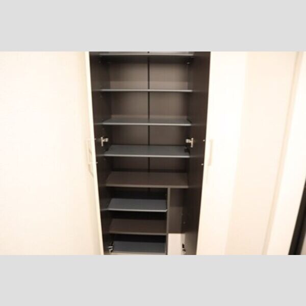 収納 (シューズボックス(トールタイプ))