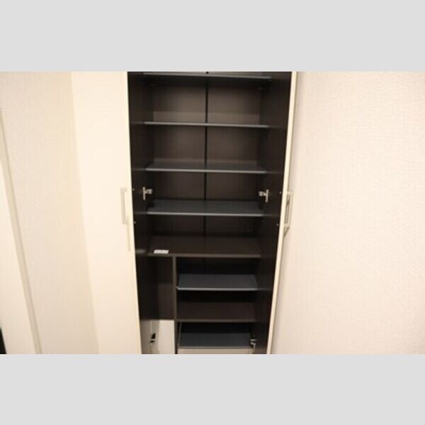 収納 (シューズボックス(トールタイプ))