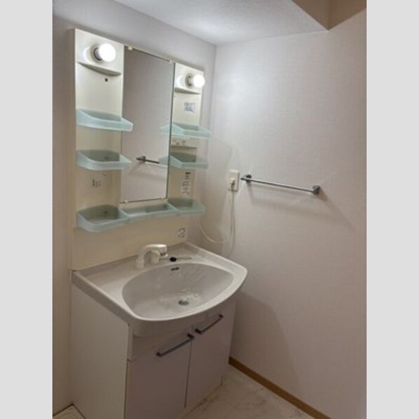 洗面所 (洗髪洗面化粧台)