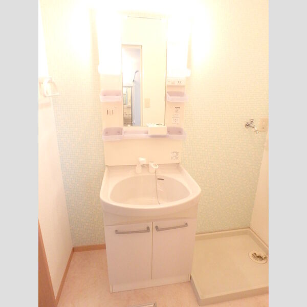 洗面所 (洗髪洗面化粧台)