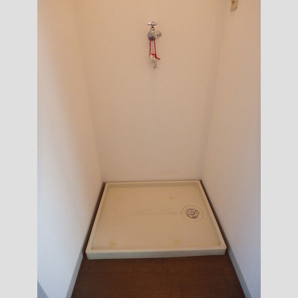 その他 (室内洗濯機置場)