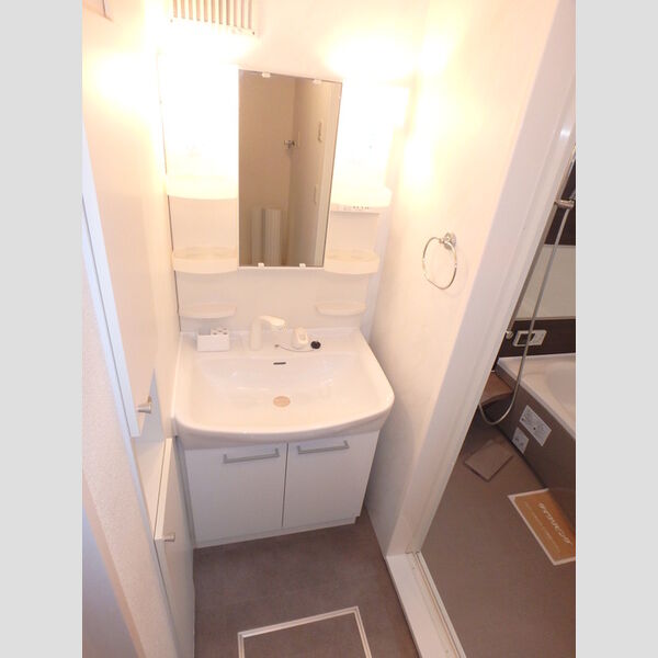 洗面所 (洗髪洗面化粧台)
