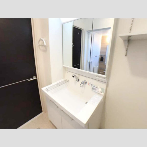 洗面所 (洗髪洗面化粧台)