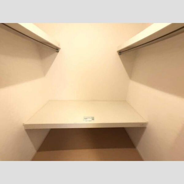 収納 (ウォークインクローゼット)