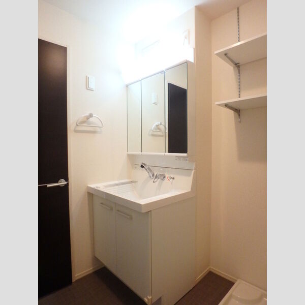 洗面所 (洗髪洗面化粧台)