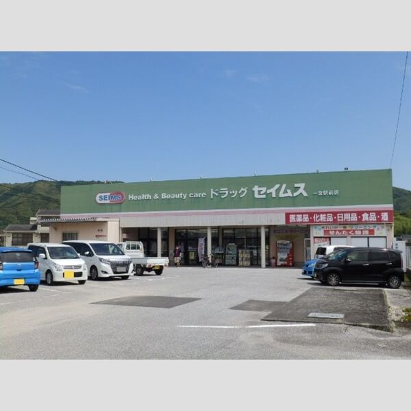 現地周辺 (ドラッグストアセイムス一宮駅前店)
