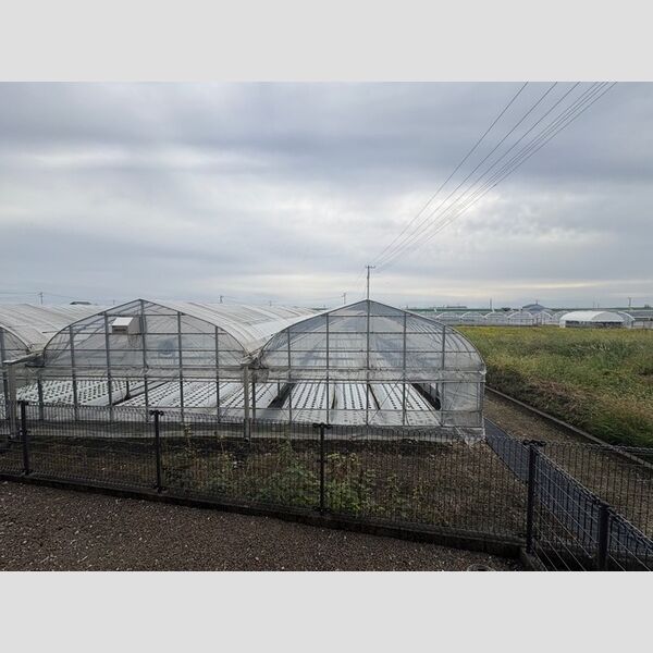 現地周辺 (眺望)