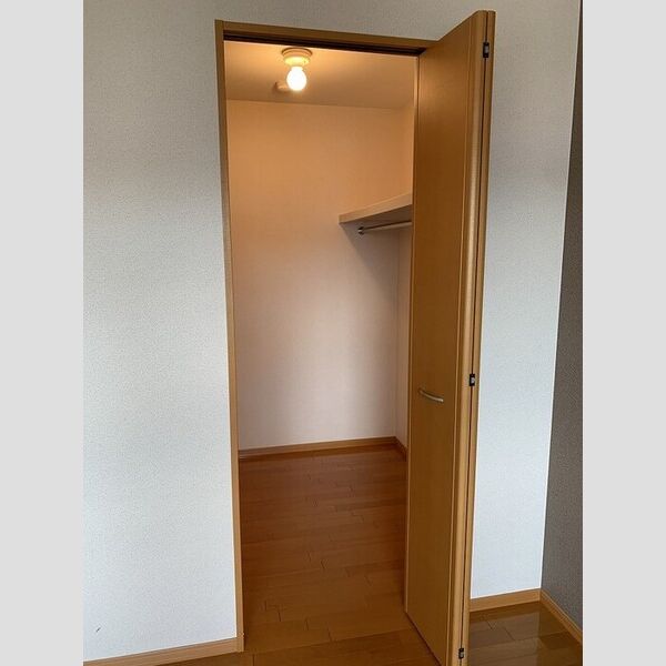 収納 (ウォークインクローゼット)
