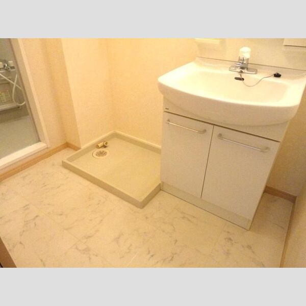 その他 (室内洗濯機置場)