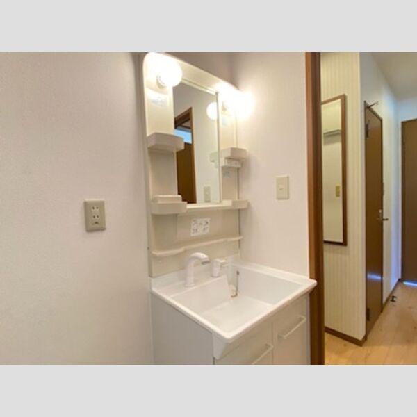 洗面所 (洗髪洗面化粧台)