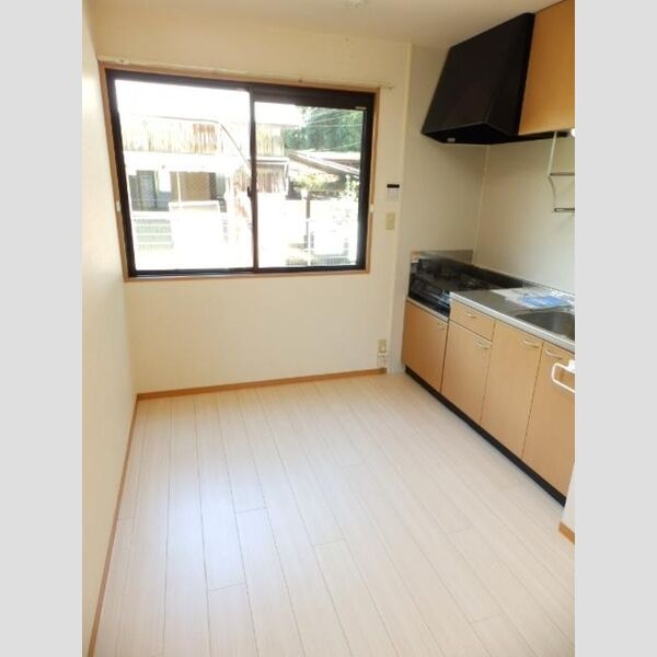 キッチン (DK(照明付))