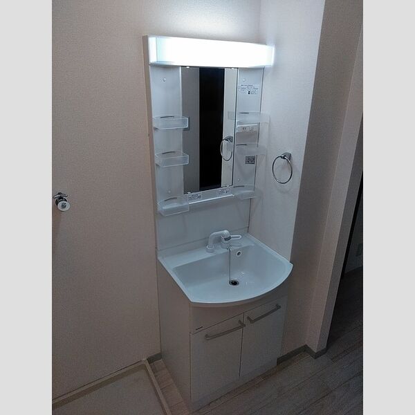 洗面所 (洗髪洗面化粧台)