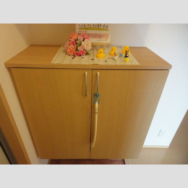 玄関 (シューズボックス)