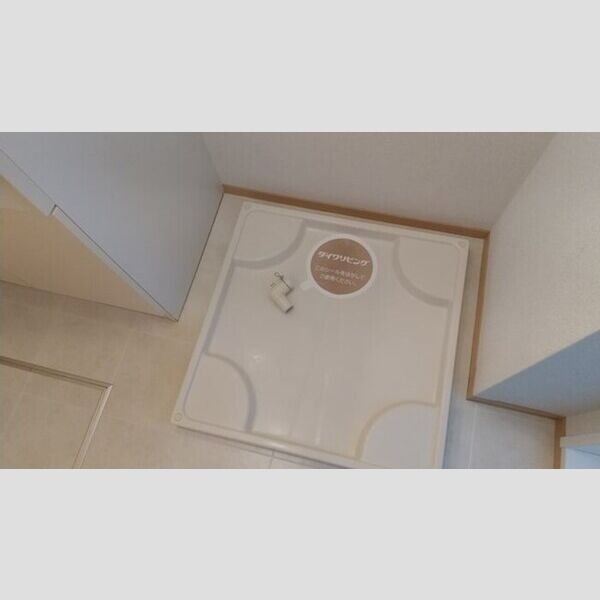 洗面所 (室内洗濯機置き場)