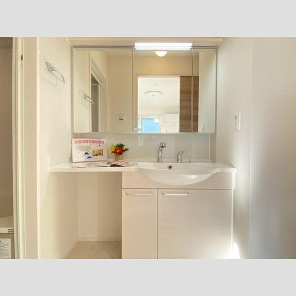 洗面所 (洗髪洗面化粧台)