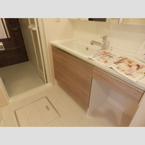 洗面所 (洗髪洗面化粧台)