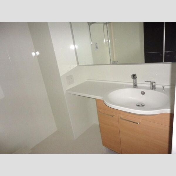 洗面所 (洗髪洗面化粧台)